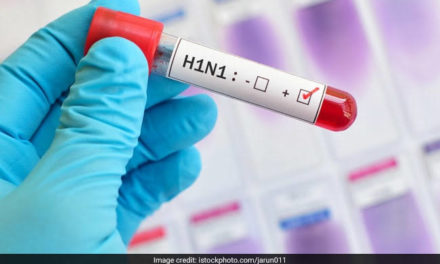 4 die of swine flu in 24 hours, toll rises to 11