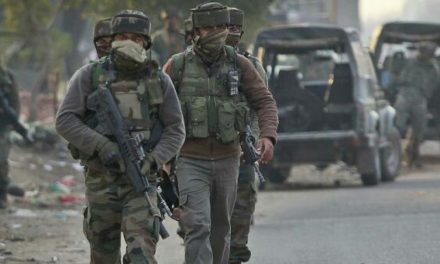 Tral Encounter: Two militant killed, search operation on﻿