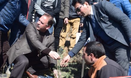 DLSA launches massive plantation drive in Bandipora; aims to plant 1.32 lakh saplings