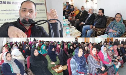 Handicrafts Department organizes artisan awareness camp at Ganderbal