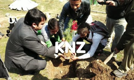 Sind Forest Division Ganderbal In collaboration with Media fraternity holds plantation drive at Gutlibagh Preng