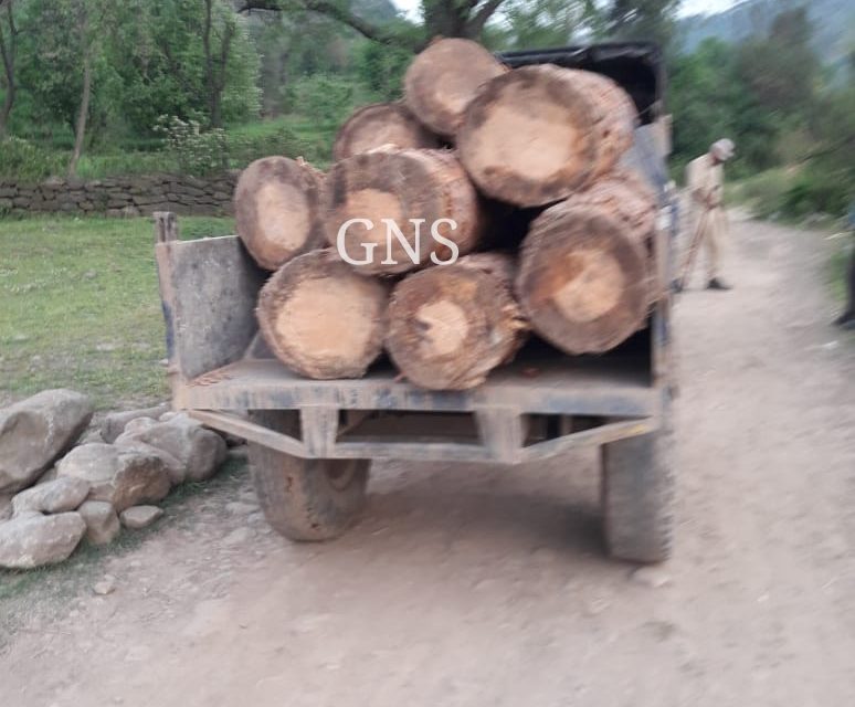 Tractor loaded with illicit timber logs seized in Poonch