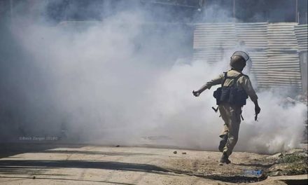 47 Security Personels Injured in Pattan Clashes:  Police