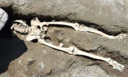 Skeleton of man missing from nearly two years found in Hagnikote forests of north Kashmir