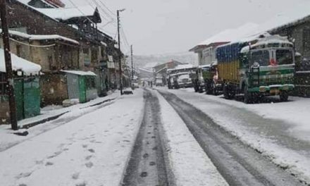 Fresh snowfall in Sonamarg