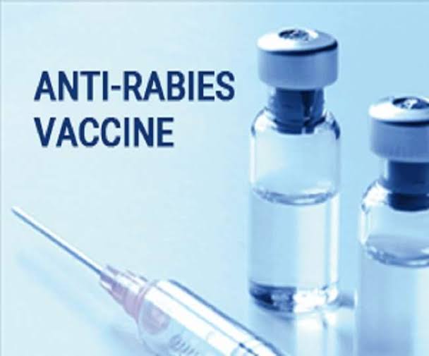 Acute shortage of anti-rabies vaccine in bandipora