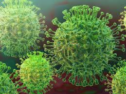 Third case of coronavirus confirmed in Kerala, says state health minister Kerala Health Minister KK Shailaja