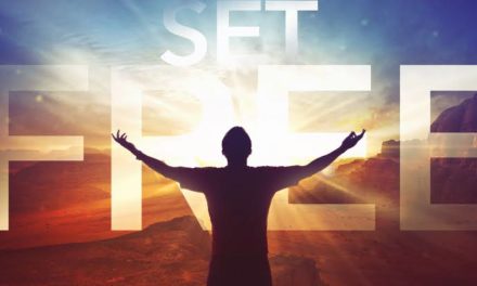 Umar Fayaz dubbed as militant set free, found innocent during investigation