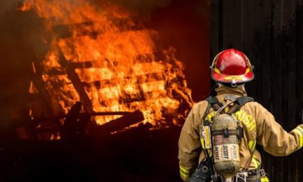 Lt Governor announces financial assistance of Rs 2 lakh to the NoKs of the deceased firemen