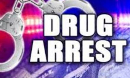 Ganderbal Police Arrests dreaded drug peddler Amdist COVID-19 Lockdown