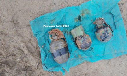 Three grenades recovered from orchard in Sopore