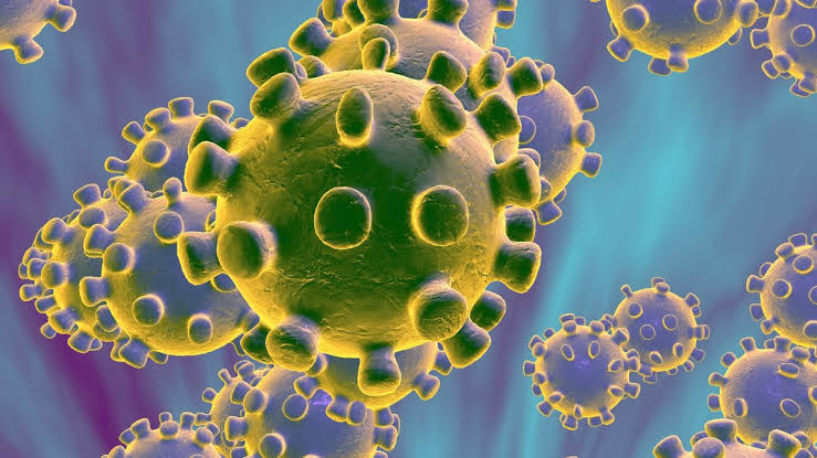 Nearly 2,000 US coronavirus deaths for second day in a row