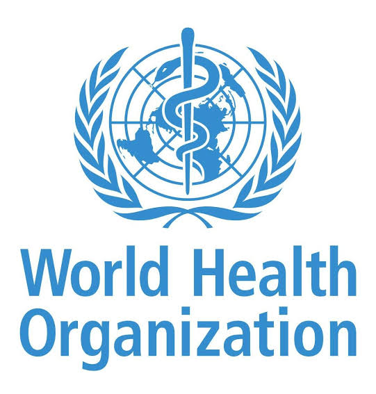 Lockdowns not enough to defeat COVID-19: World Health Organization