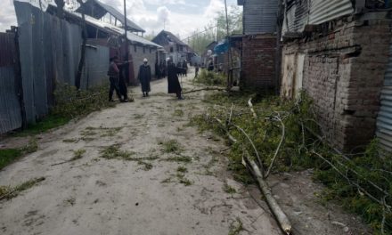 Covid-19: preventive measures Baharabad Hajin  village starts axing of female Russian poplar trees