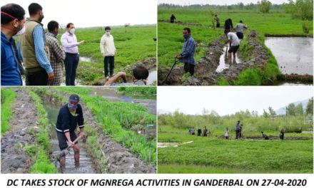 MGNREGA Activities Resumed in G’bal, DC Takes Stock of Works in District
