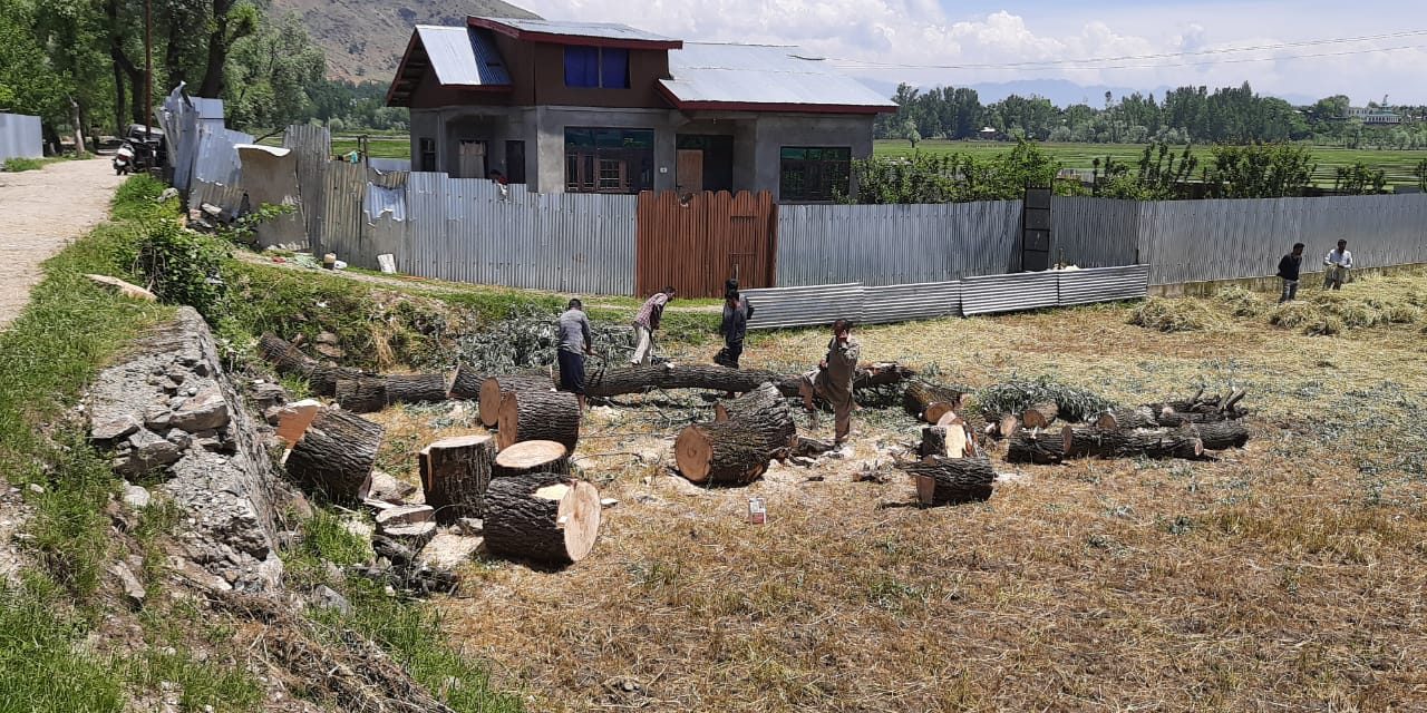 Locals Aghast over Chopping down of Willows without auction in Naninara Sumbal