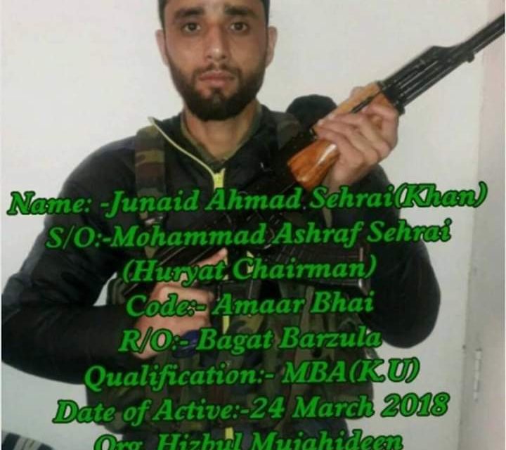 Junaid Sehrai among two militants killed in Srinagar encounter