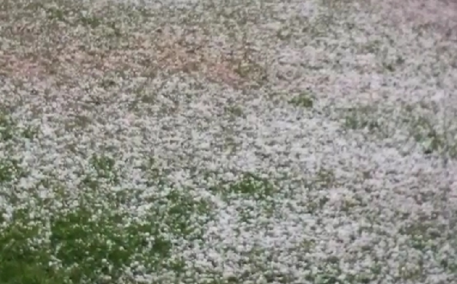 Hailstorm wreaks havoc in Tral villages, destroy crops & fruits