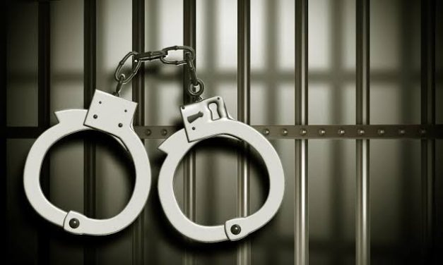 Duo arrested in nocturnal raids in Pulwama