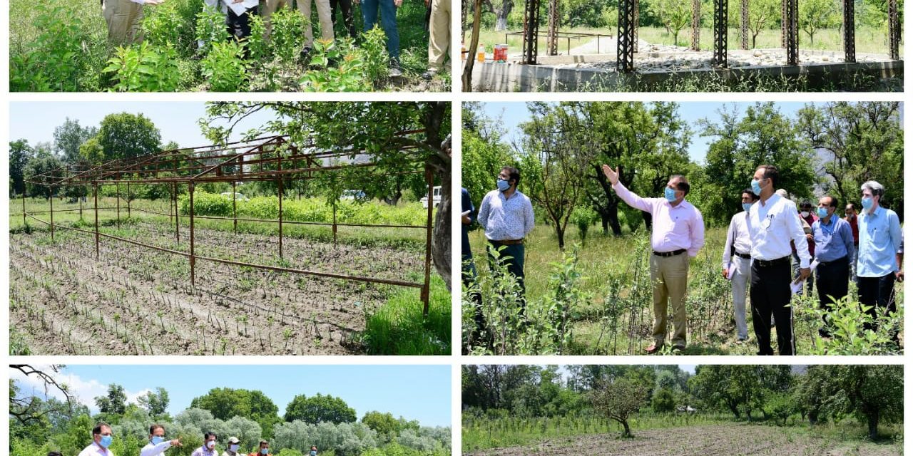 DC Ganderbal inspects functioning of Fruit plant nursery at Tehsil Bagh