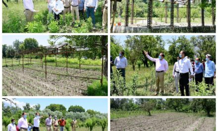 DC Ganderbal inspects functioning of Fruit plant nursery at Tehsil Bagh