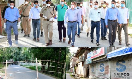 COVID-19:DM Ganderbal visits Warpoo red zone area;Directs for strict restrictions, aggressive sampling