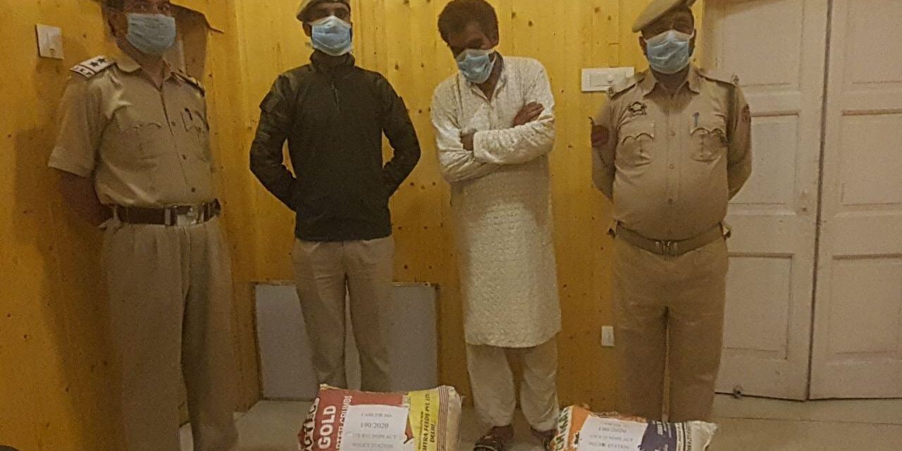 Absconding Drug peddler held in Budgam in 24 hours,’10 kgs of poppy straw recovered : Police