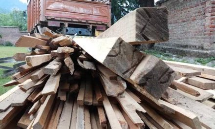 Taking advantage of lockdown Illegal sawmill units established in various areas of Ganderbal;Officials pass the buck