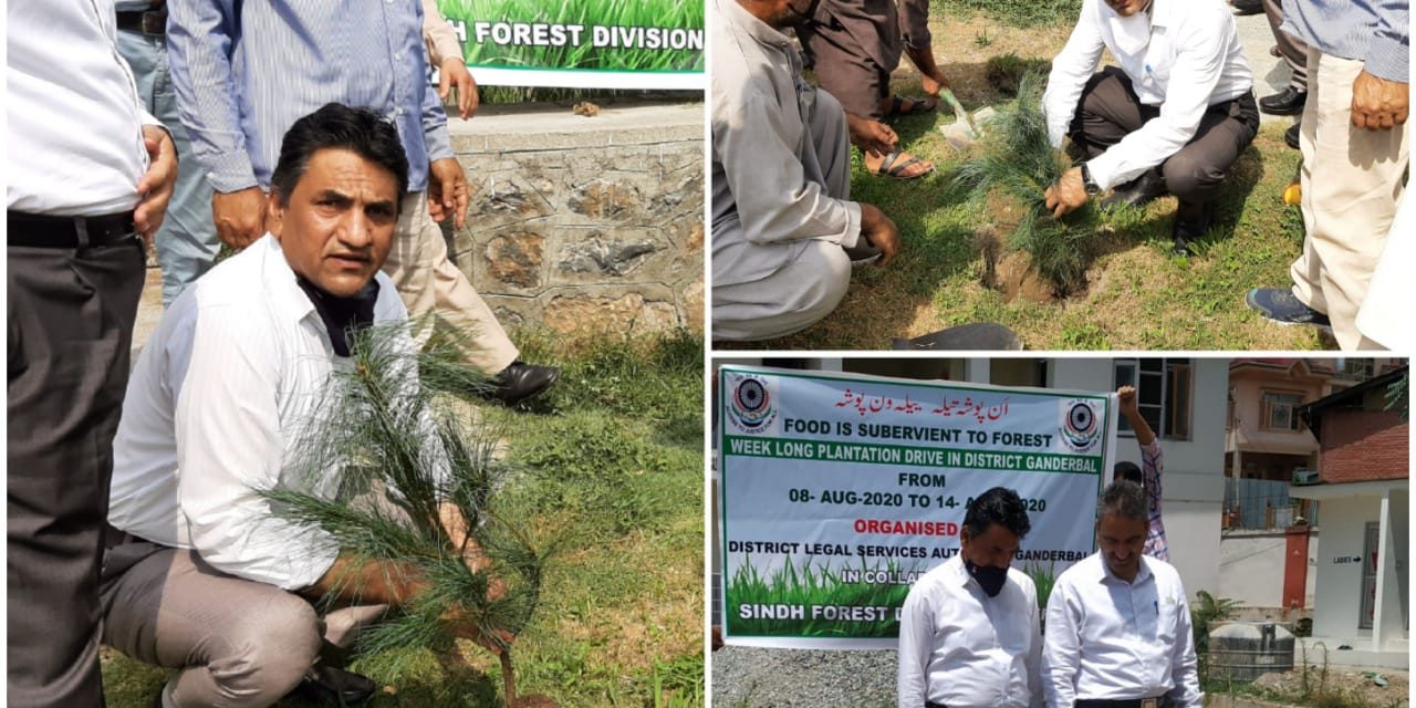 District Legal Service Authority Ganderbal launches Plantation drive at Ganderbal