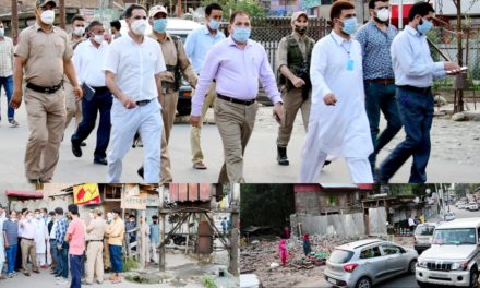 Roads are of vital importance in economic development: DC Ganderbal