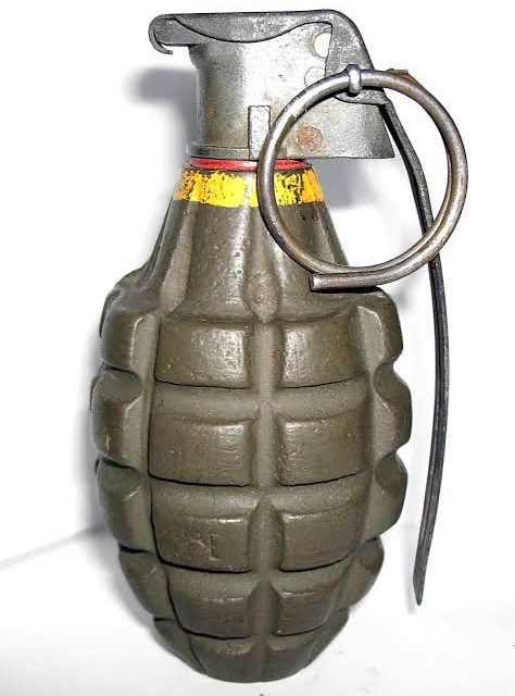 8 Days after Kreeri Gunfight: Grenade recovered near encounter site, destroyed