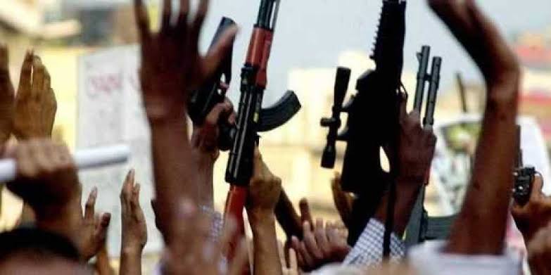 Days after joining militant ranks, Awantipora youth qualifies BUMS 3rd Sem with distinction