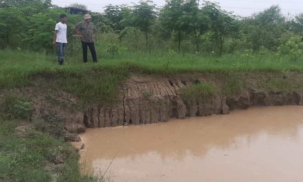 How rainwater can be used for years, Peepal Baba presents a brilliant example