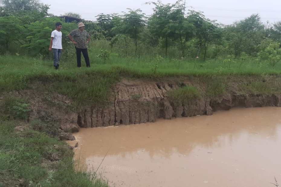 How rainwater can be used for years, Peepal Baba presents a brilliant example