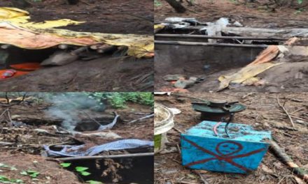 Three militant hideout busted in Tral, Awantipora: Police