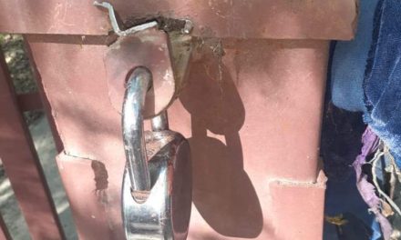 Burglars’ loot cash from Masjid and shrine in Ganderbal