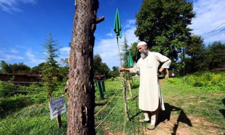 Father of Burhan Wani hospitalised after developing breathing issues, tests positive for COVID