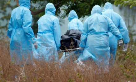 Covid-19 Claims 17 More Lives, Toll 773