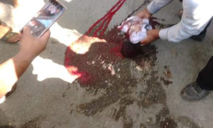 Woman killed in road accident in Baroosa Ganderbal