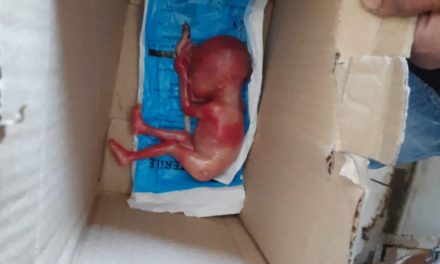 Shocking : Newborn baby found dead in Trauma Hospital Kangan