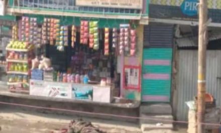 Two soldiers killed in Srinagar militant attack