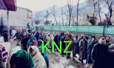 Militants making desperate attempt to disrupt DDC polls in J&K: Army chief