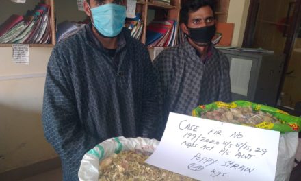 Awantipora Police books a notorious drug peddler under PSA