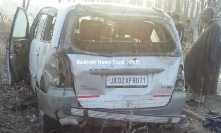 Kashmiri Pandit lady dies in South Kashmir road accident