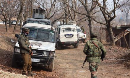 Search operation launched in Shopian despite biting cold, thigh-high snow