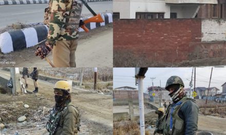 Day 02 Srinagar Gunfight: 03 militants killed: IGP Kashmir