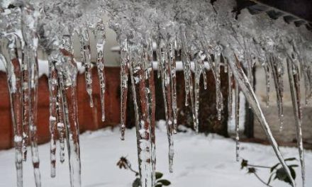 Icy winds sweep Jammu and Kashmir, Srinagar freezes at minus 3.6 deg C