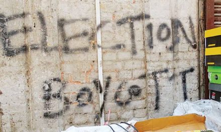 DDC elections: Geelani’s village boycott polls, records 0.9 % voting
