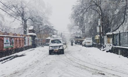 Snowfall paralyses life in Kashmir,”Srinagar records coldest day of the season at 3.4°C