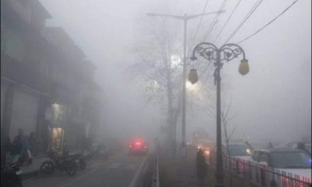 No Let Up In Deep Freeze In Kashmir, Dense Fog Envelops Srinagar